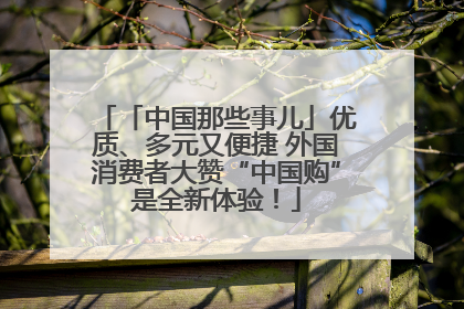 「中国那些事儿」优质、多元又便捷 外国消费者大赞“中国购”是全新体验！