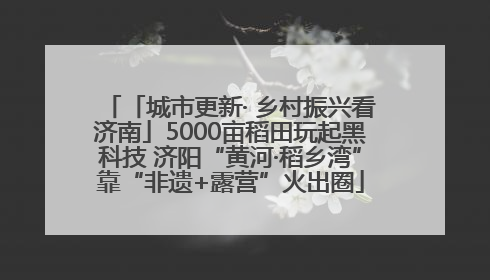 「城市更新· 乡村振兴看济南」5000亩稻田玩起黑科技 济阳“黄河·稻乡湾”靠“非遗+露营”火出圈