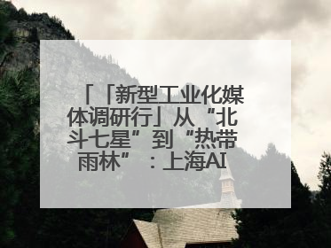 「新型工业化媒体调研行」从“北斗七星”到“热带雨林”：上海AI生态的技术商业共生密码