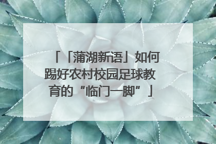 「蒲湖新语」如何踢好农村校园足球教育的“临门一脚”