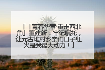 「青春华章·重走西北角」董建新：牢记嘱托，让元古堆村乡亲们日子红火是我最大动力！