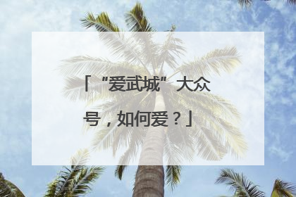 “爱武城”大众号，如何爱？