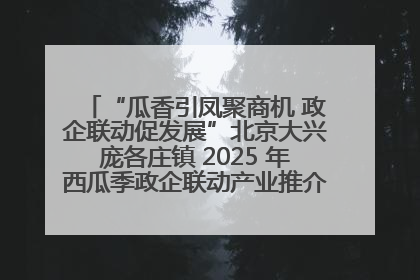 “瓜香引凤聚商机 政企联动促发展”北京大兴庞各庄镇 2025 年西瓜季政企联动产业推介活动圆满举行
