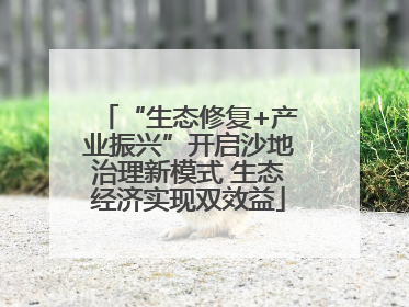 “生态修复+产业振兴”开启沙地治理新模式 生态经济实现双效益