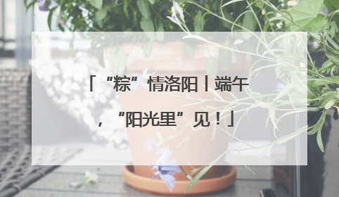 “粽”情洛阳丨端午，“阳光里”见！