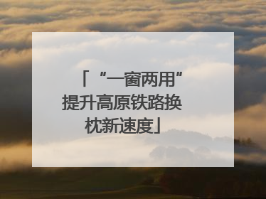 “一窗两用”提升高原铁路换枕新速度