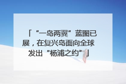 “一岛两翼”蓝图已展，在复兴岛面向全球发出“杨浦之约”