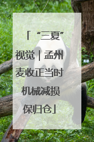 “三夏”视觉｜孟州麦收正当时 机械减损保归仓