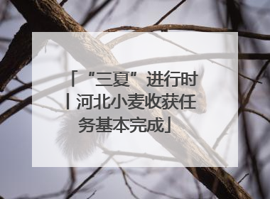 “三夏”进行时丨河北小麦收获任务基本完成
