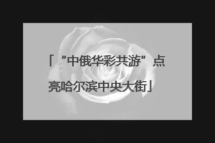 “中俄华彩共游”点亮哈尔滨中央大街