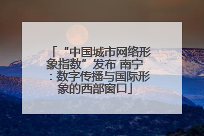 “中国城市网络形象指数”发布 南宁：数字传播与国际形象的西部窗口
