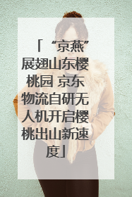 “京燕”展翅山东樱桃园 京东物流自研无人机开启樱桃出山新速度