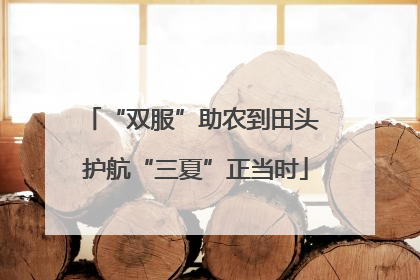 “双服”助农到田头 护航“三夏”正当时