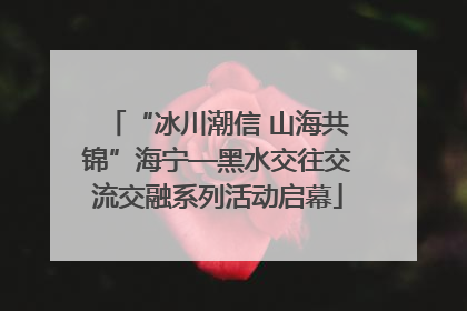 “冰川潮信 山海共锦”海宁—黑水交往交流交融系列活动启幕