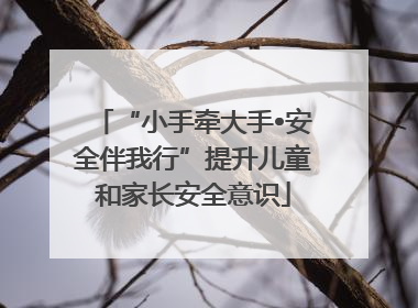 “小手牵大手•安全伴我行”提升儿童和家长安全意识