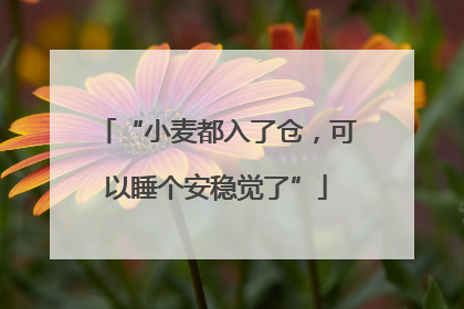 “小麦都入了仓，可以睡个安稳觉了”