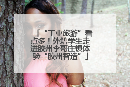 “工业旅游”看点多！外籍学生走进胶州李哥庄镇体验“胶州智造”