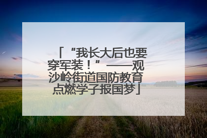 “我长大后也要穿军装！”——观沙岭街道国防教育点燃学子报国梦
