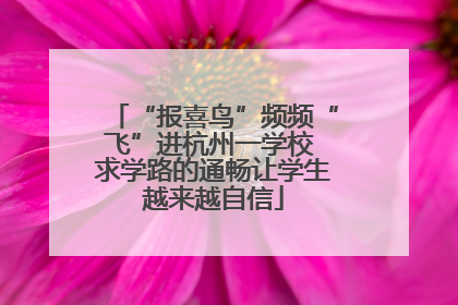 “报喜鸟”频频“飞”进杭州一学校 求学路的通畅让学生越来越自信