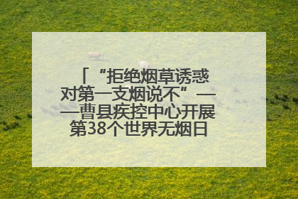 “拒绝烟草诱惑 对第一支烟说不”——曹县疾控中心开展第38个世界无烟日科普宣传活动