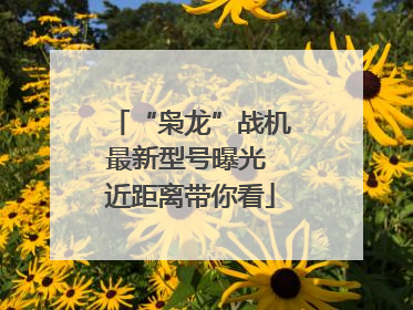“枭龙”战机最新型号曝光 近距离带你看