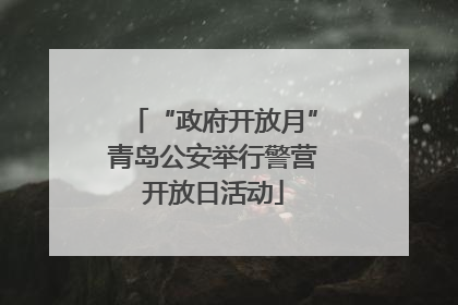 “政府开放月”青岛公安举行警营开放日活动