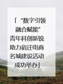 “数字引领 融合赋能”青年科创新锐助力宿迁电商名城建设活动成功举办