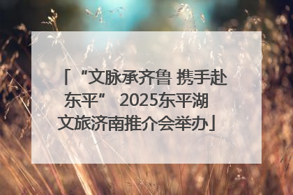 “文脉承齐鲁 携手赴东平” 2025东平湖文旅济南推介会举办