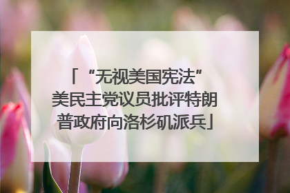 “无视美国宪法” 美民主党议员批评特朗普政府向洛杉矶派兵