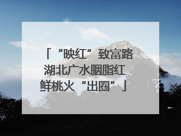 “映红”致富路 湖北广水胭脂红鲜桃火“出圈”