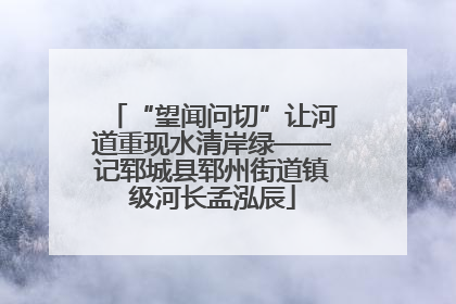 “望闻问切”让河道重现水清岸绿——记郓城县郓州街道镇级河长孟泓辰