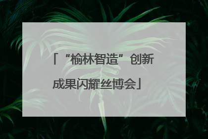 “榆林智造”创新成果闪耀丝博会