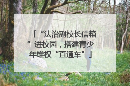 “法治副校长信箱”进校园，搭建青少年维权“直通车”