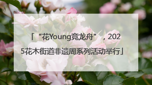 “花Young竞龙舟”，2025花木街道非遗周系列活动举行