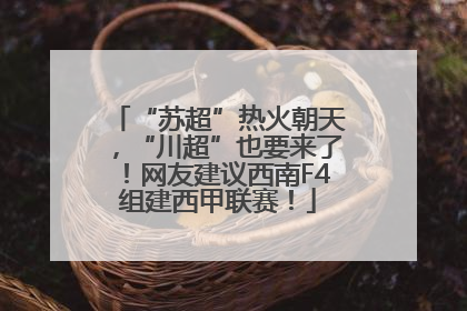“苏超”热火朝天，“川超”也要来了！网友建议西南F4组建西甲联赛！