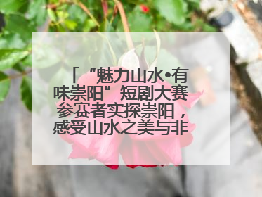 “魅力山水•有味崇阳”短剧大赛参赛者实探崇阳，感受山水之美与非遗文化“提琴戏”魅力