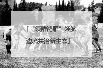 “领群鸿雁”领航边境共治新生态