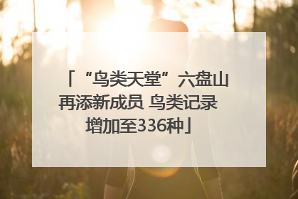 “鸟类天堂”六盘山再添新成员 鸟类记录增加至336种
