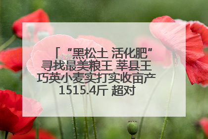 “黑松土 活化肥”寻找最美粮王 莘县王巧英小麦实打实收亩产1515.4斤 超对照田144斤！