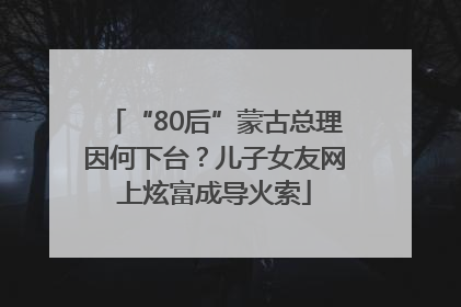 “80后”蒙古总理因何下台？儿子女友网上炫富成导火索