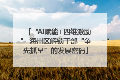 “AI赋能+四维激励” 海州区解锁干部“争先抓早”的发展密码