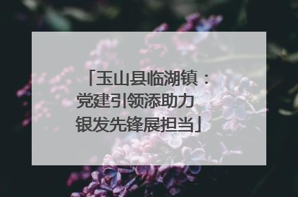 玉山县临湖镇：党建引领添助力 银发先锋展担当