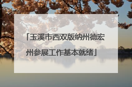 玉溪市西双版纳州德宏州参展工作基本就绪