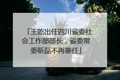 王乾出任四川省委社会工作部部长，省委常委靳磊不再兼任