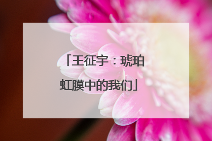 王征宇：琥珀虹膜中的我们
