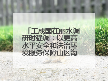 王成国在丽水调研时强调：以更高水平安全和法治环境服务保障山区海岛县高质量发展