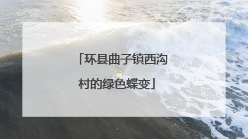 环县曲子镇西沟村的绿色蝶变