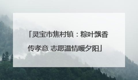 灵宝市焦村镇：粽叶飘香传孝意 志愿温情暖夕阳