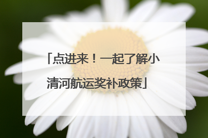 点进来！一起了解小清河航运奖补政策