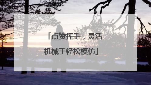 点赞挥手，灵活机械手轻松模仿